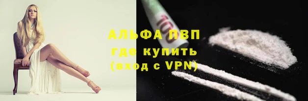 сатива Аркадак