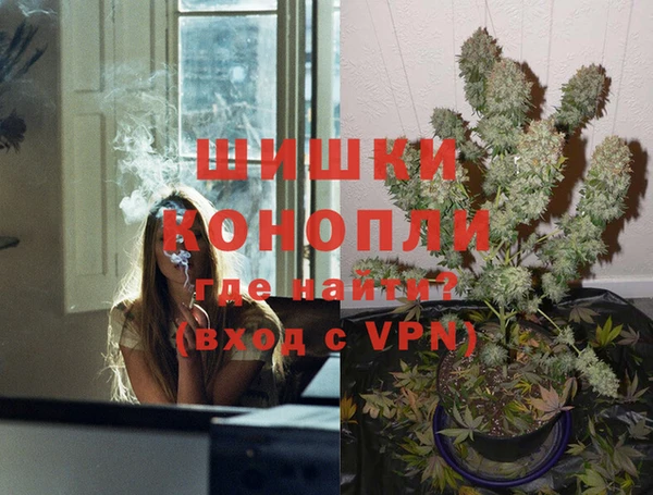 сатива Аркадак