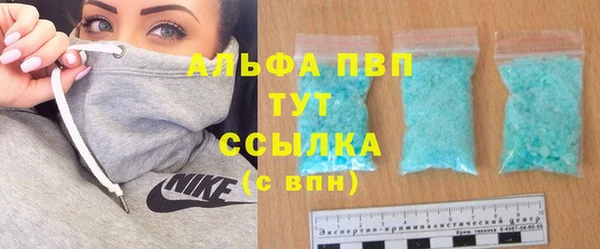 сатива Аркадак