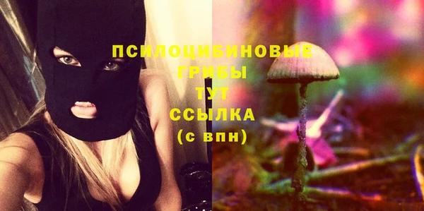 соль ск Слюдянка