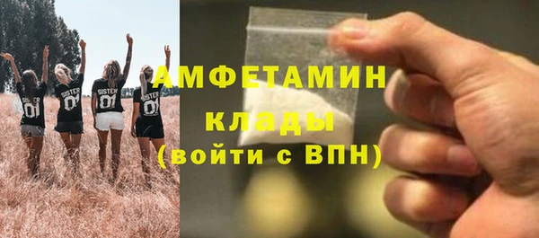 сатива Аркадак