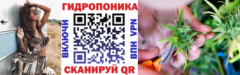 Каннабис план Покров